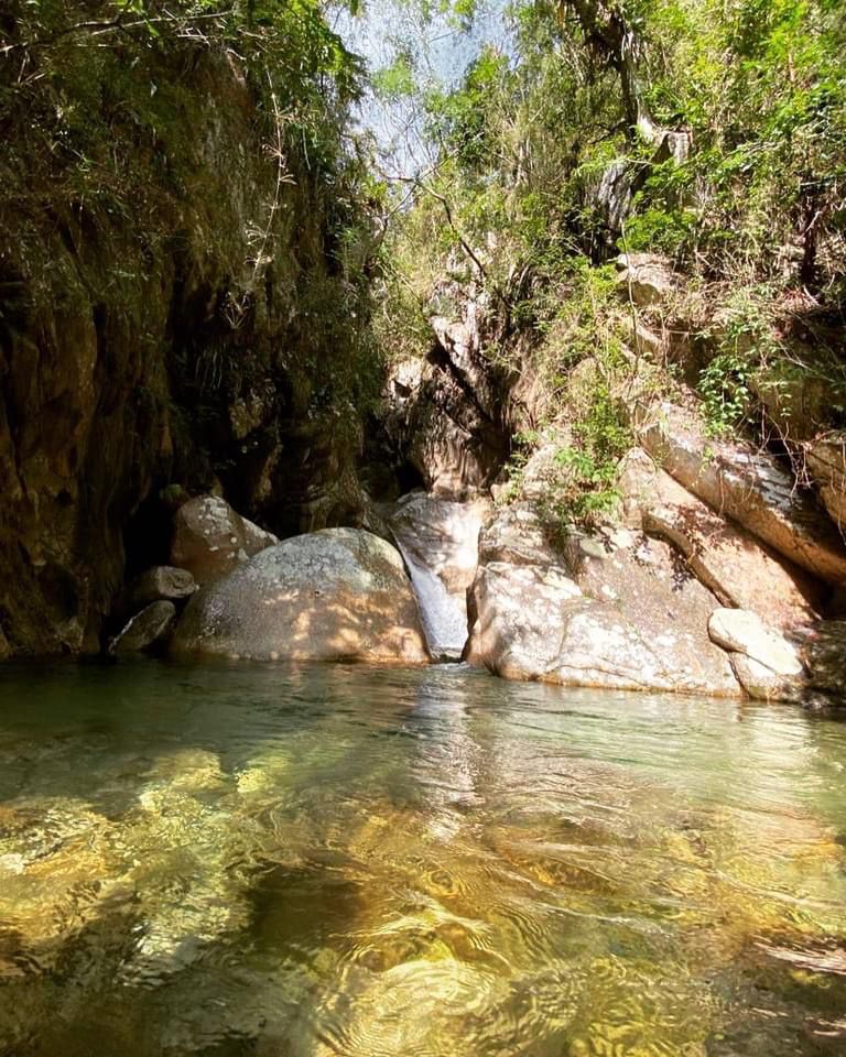 Descubre la magia de la selva tropical en el Río Nogalito